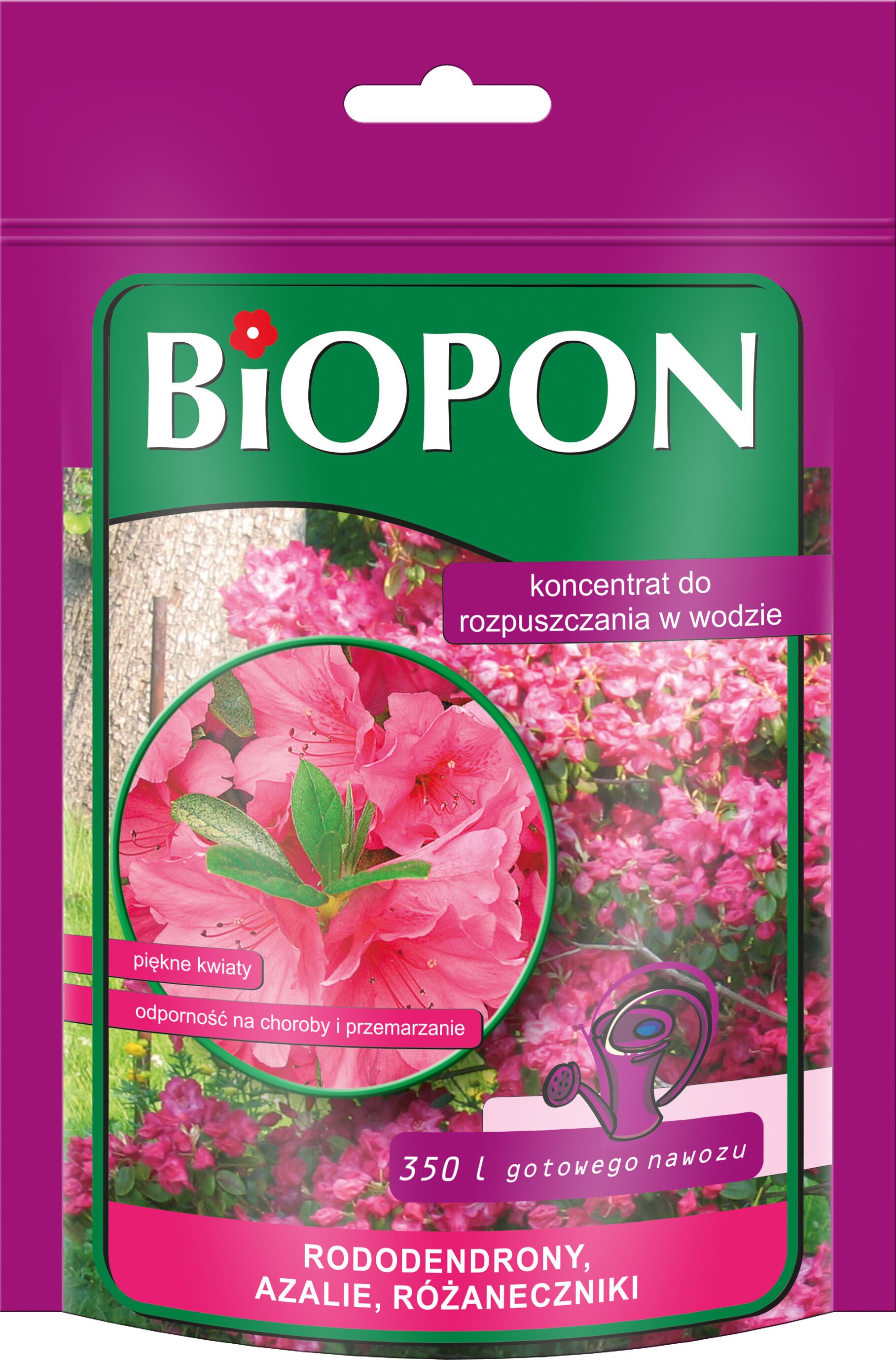 Koncentrat rozpuszczalny do rododendronów 350 g BIOPON Bricomarche pl