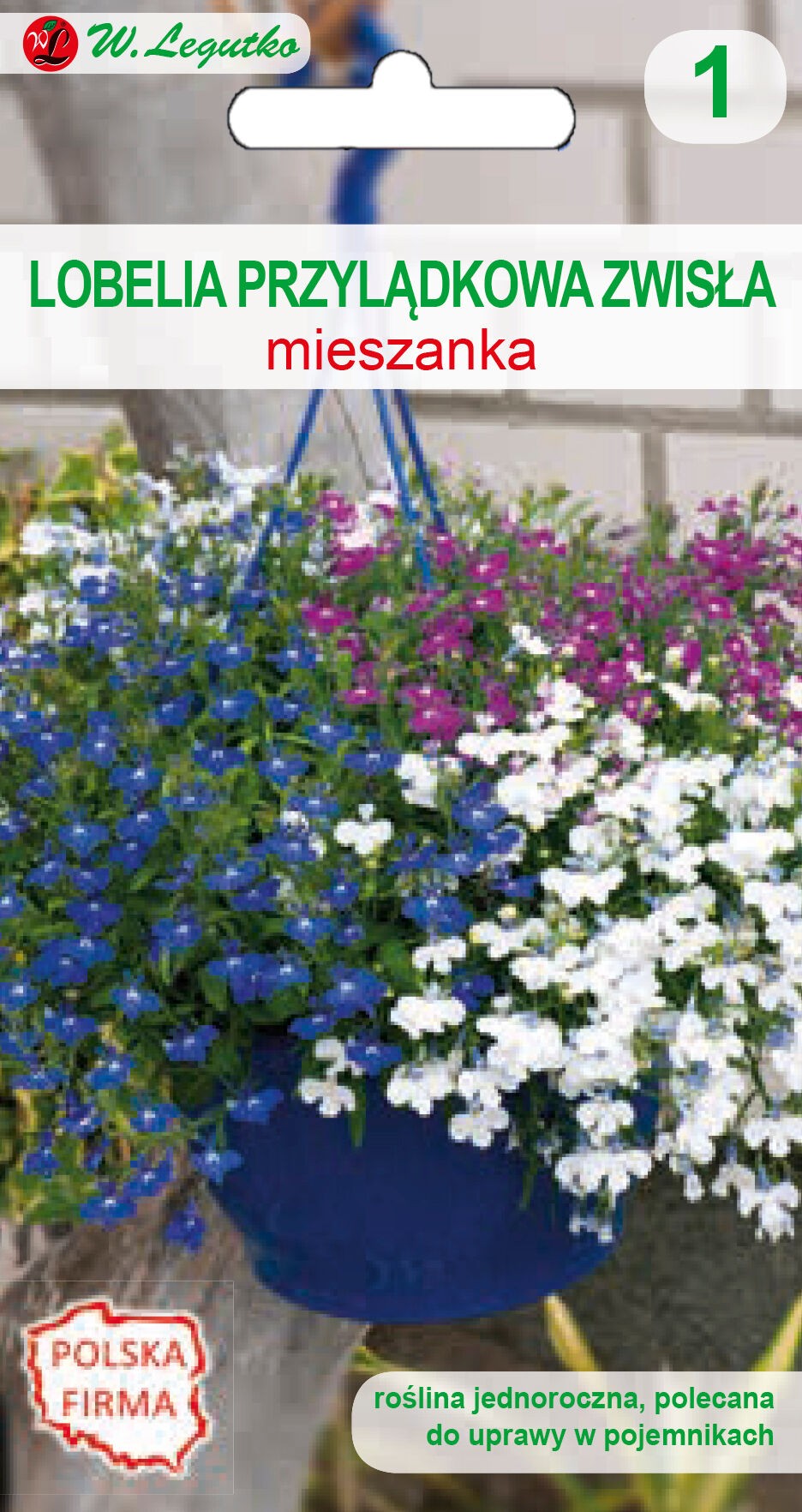 Lobelia przylądkowa zwisła mieszanka 25 30 cm W Legutko Bricomarche pl