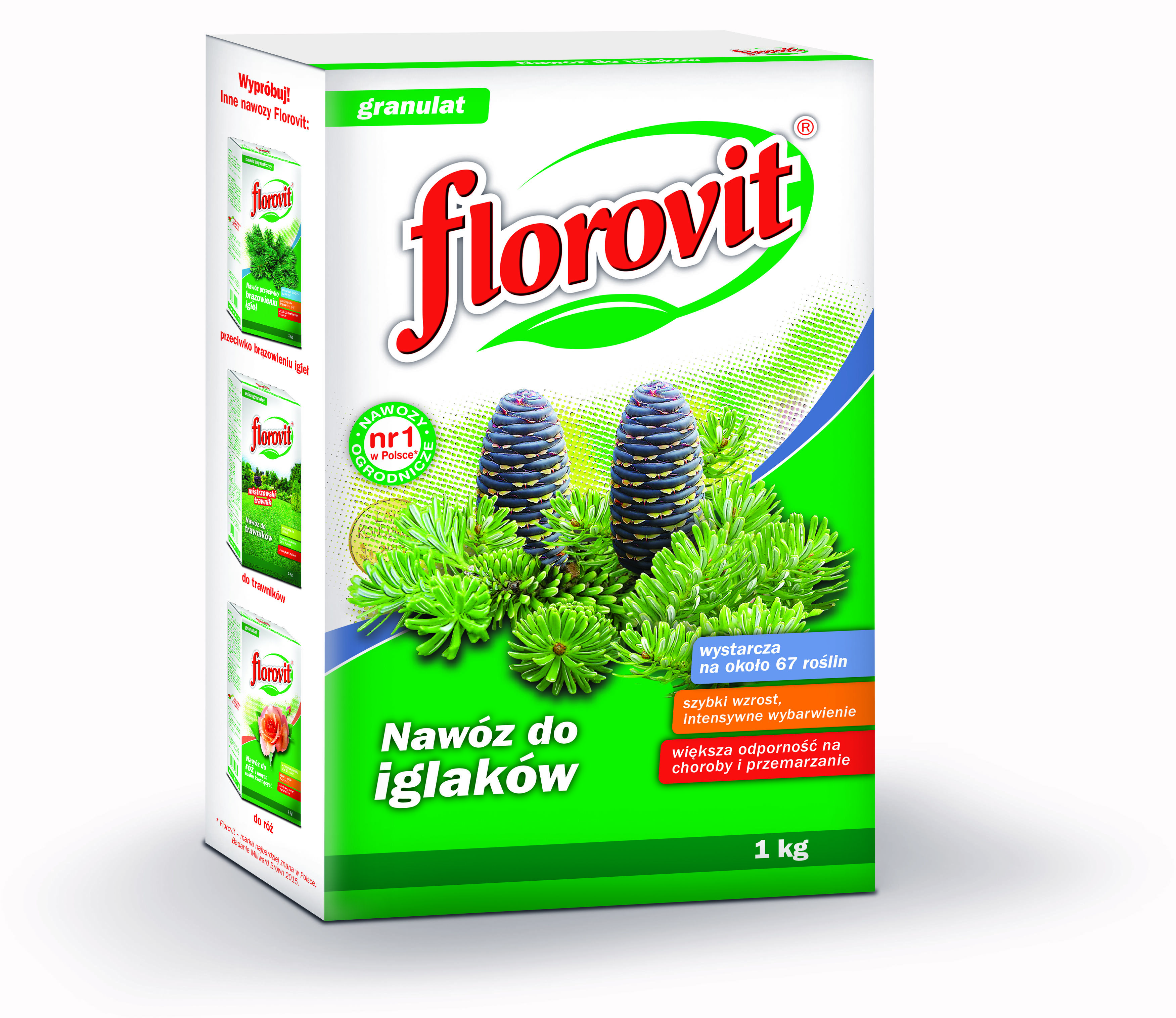 Nawóz do roślin iglastych karton 1 kg Florovit Bricomarche pl