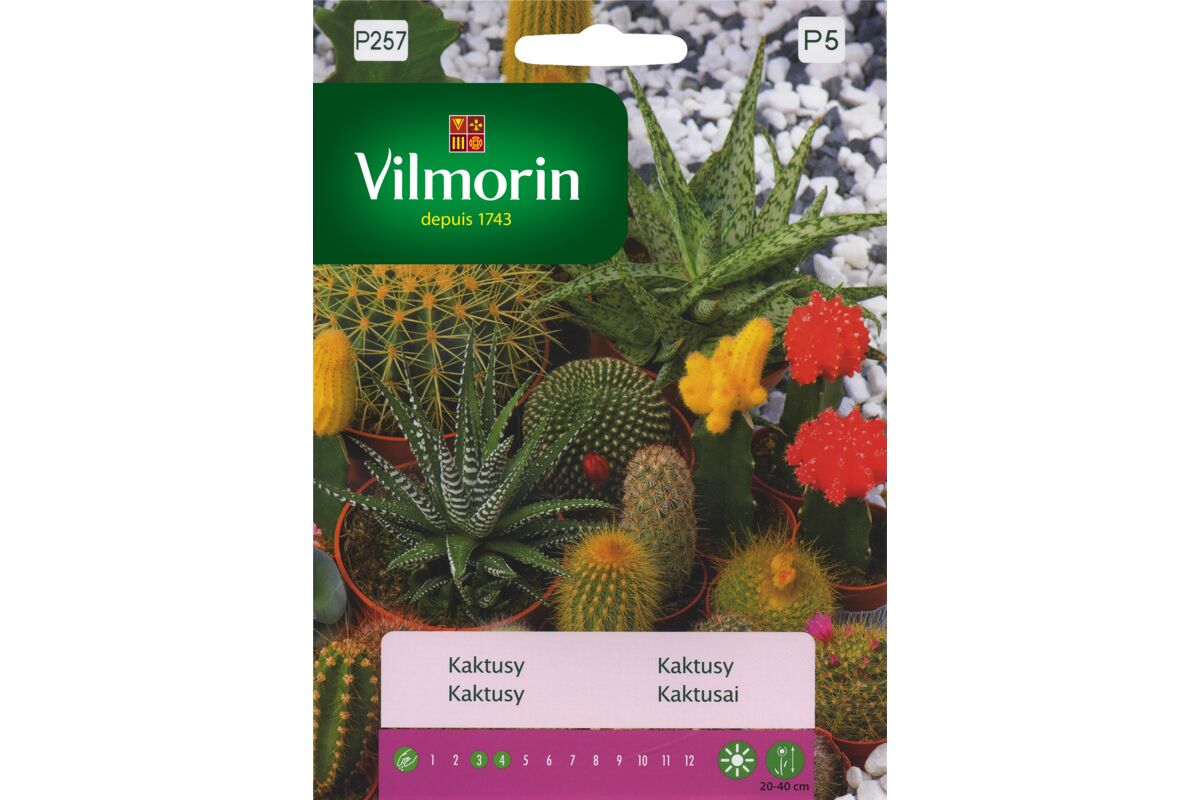 Kaktusy Mix 0 3 G Vilmorin Garden Bricomarche Pl