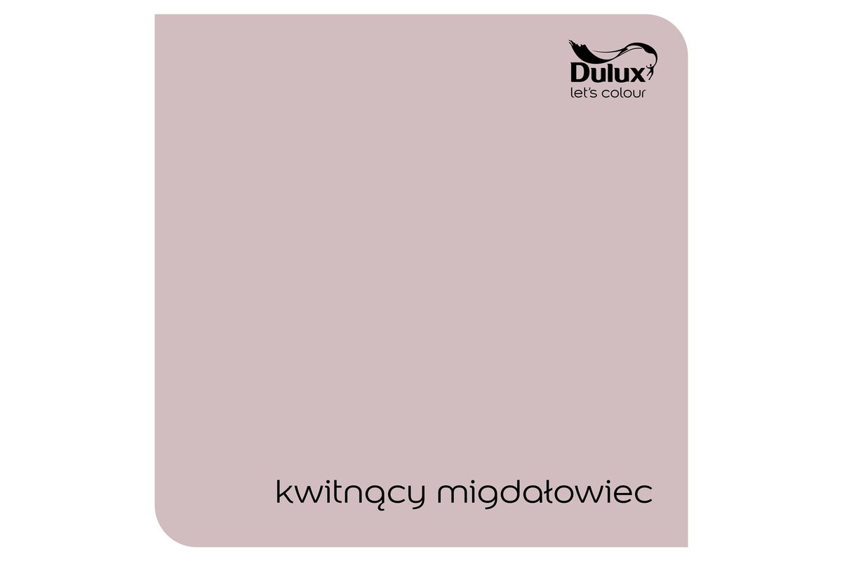 TESTER farba lateksowa Dulux Kolory Świata Kwitnący Migdałowiec 0 05 l