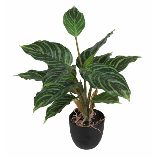 Sztuczny Kwiat W Doniczce Aglaonema Cm Bricomarche Pl