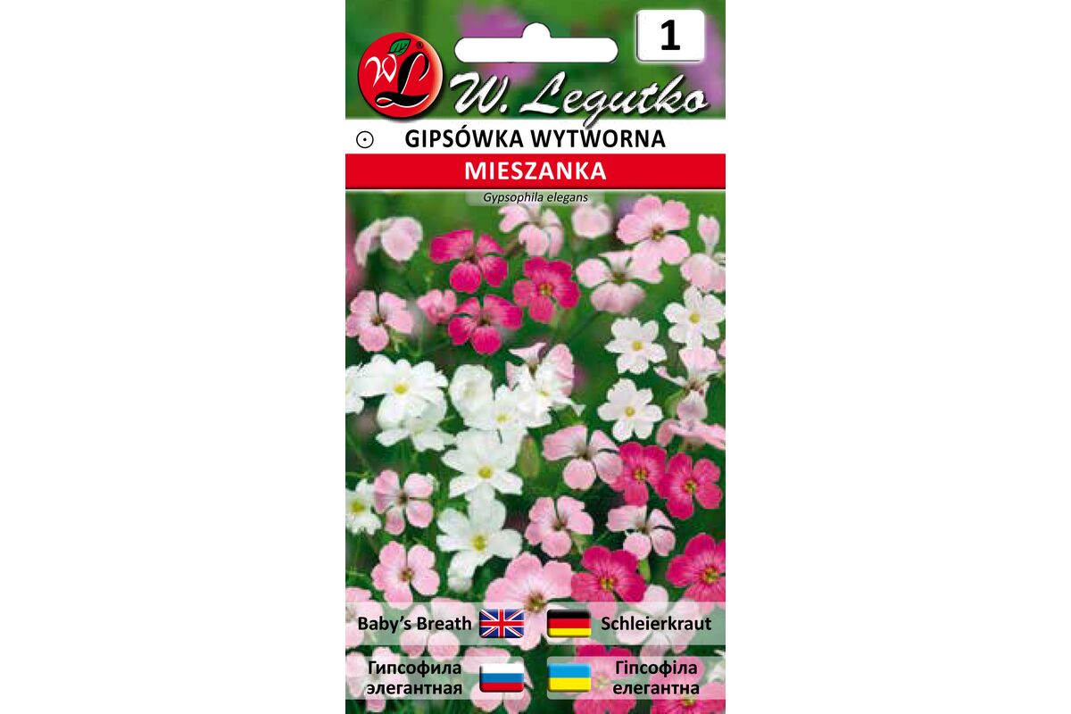 Gips Wka Wytworna Mieszanka Cm W Legutko Bricomarche Pl