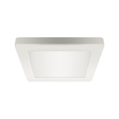 Oprawa sufitowa OLGA LED D 12 W  white cct strühm