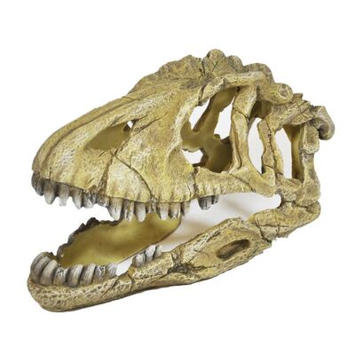 Zdjęcia - Akwarium Happet Ozdoba akwariowa U714 czaszka dinozaura 
