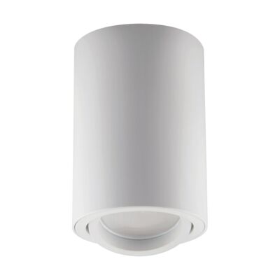 Zdjęcia - Żyrandol / lampa iDeus Plafoniera BEMOL DWL GU10 WHITE STRÜHM 