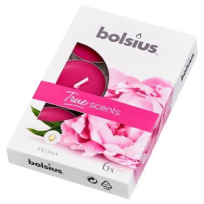 Podgrzewacz zapachowy True Scents Piwonia 6 sztuk Bolsius