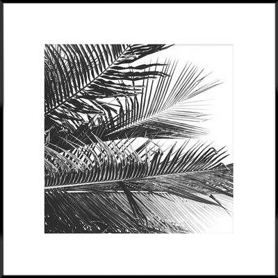 Obraz Artbox 50 x 50 cm AB081 PALMS