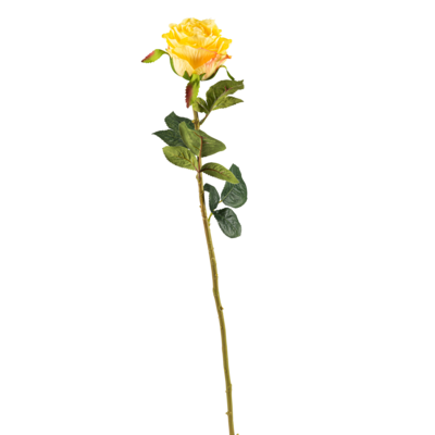 Róża pojedyncza 68 cm mix
